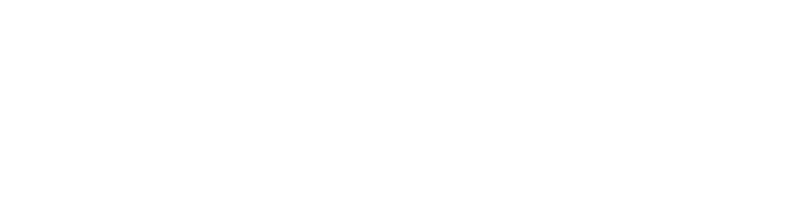 VM Business